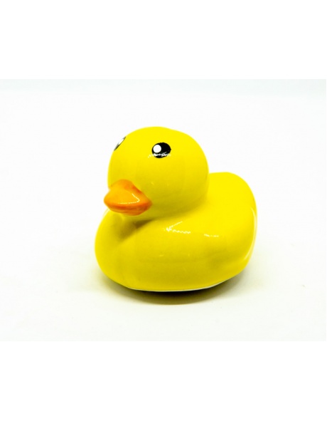 duck2